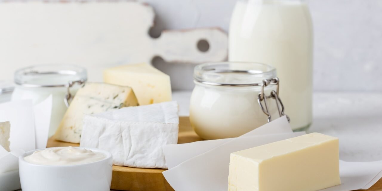 cold storage solutions for milk and dairy products